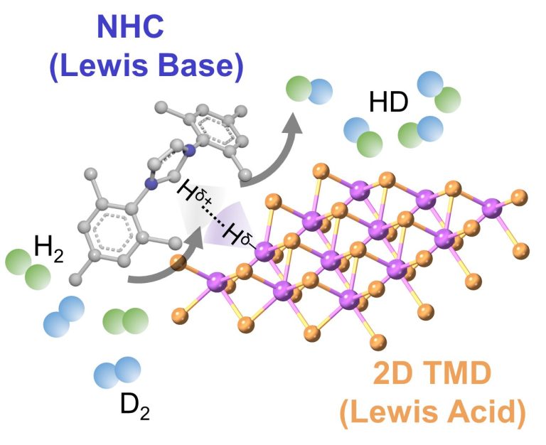 Check out Jia's paper on NHC functionalization of 2D TMDs in Adv. Funct ...